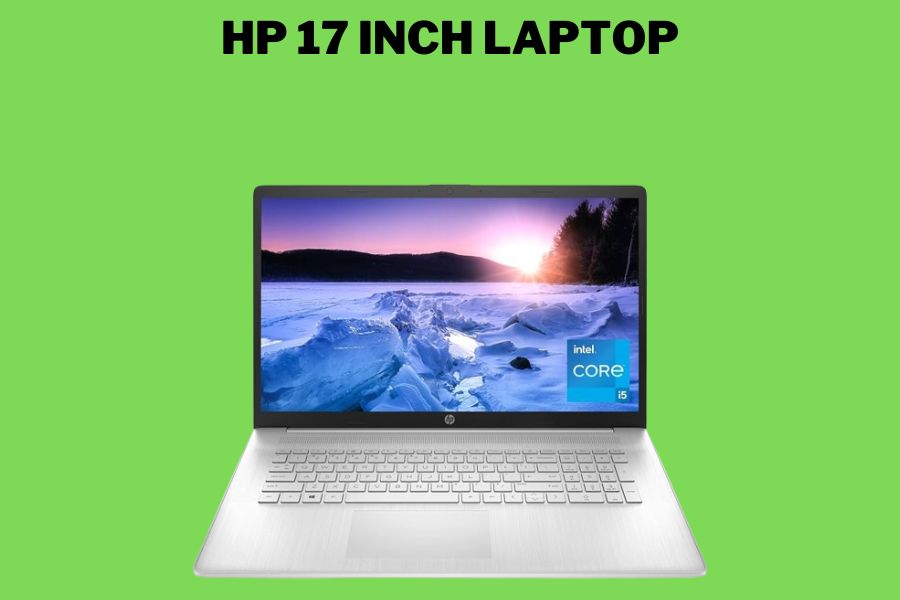 HP 17 inch